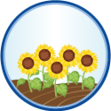 Silver Sunflower Sponsor Logo